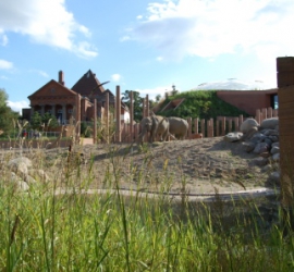 BRUNO_sommertur_frb_slot_2009_66