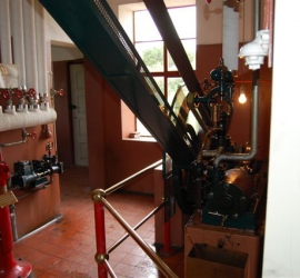 BRUNO_sommertur_nyvang_2010_35