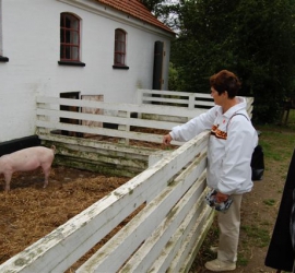 BRUNO_sommertur_nyvang_2010_38