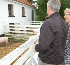 BRUNO_sommertur_nyvang_2010_39