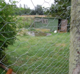 BRUNO_sommertur_nyvang_2010_46