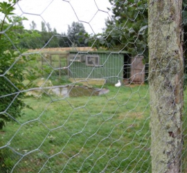 BRUNO_sommertur_nyvang_2010_47