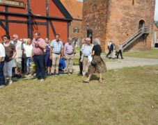 20190810_120643_optimized 20190810_120643_optimized