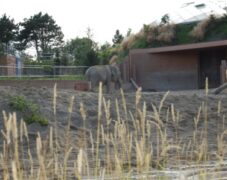 BRUNO_sommertur_frb_slot_2009_60 BRUNO_sommertur_frb_slot_2009_60