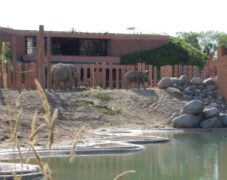 BRUNO_sommertur_frb_slot_2009_61 BRUNO_sommertur_frb_slot_2009_61