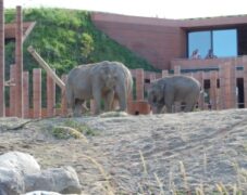 BRUNO_sommertur_frb_slot_2009_63 BRUNO_sommertur_frb_slot_2009_63