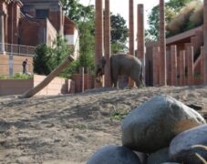 BRUNO_sommertur_frb_slot_2009_64 BRUNO_sommertur_frb_slot_2009_64