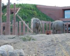 BRUNO_sommertur_frb_slot_2009_65 BRUNO_sommertur_frb_slot_2009_65