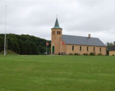 BRUNO_sommertur_nyvang_2010_33 BRUNO_sommertur_nyvang_2010_33