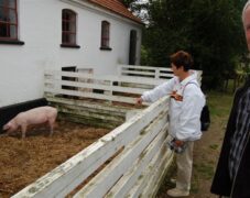 BRUNO_sommertur_nyvang_2010_38 BRUNO_sommertur_nyvang_2010_38