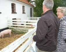 BRUNO_sommertur_nyvang_2010_39 BRUNO_sommertur_nyvang_2010_39