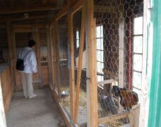 BRUNO_sommertur_nyvang_2010_42 BRUNO_sommertur_nyvang_2010_42