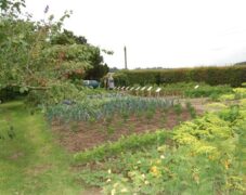 BRUNO_sommertur_nyvang_2010_44 BRUNO_sommertur_nyvang_2010_44