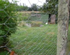 BRUNO_sommertur_nyvang_2010_46 BRUNO_sommertur_nyvang_2010_46