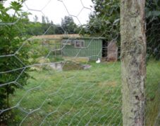 BRUNO_sommertur_nyvang_2010_47 BRUNO_sommertur_nyvang_2010_47