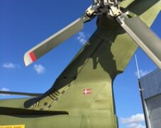 BRUNO_sommertur_roskilde_2015_7 BRUNO_sommertur_roskilde_2015_7